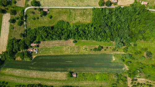 Eladó egy hangulatos pince Szentgyörgyvár csendes, környezetében.